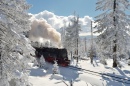 Steam Locomotive, Harz Mountains