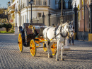 Horse Carriage In Seville, Spain