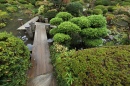 Japanese Traditional Style Garden